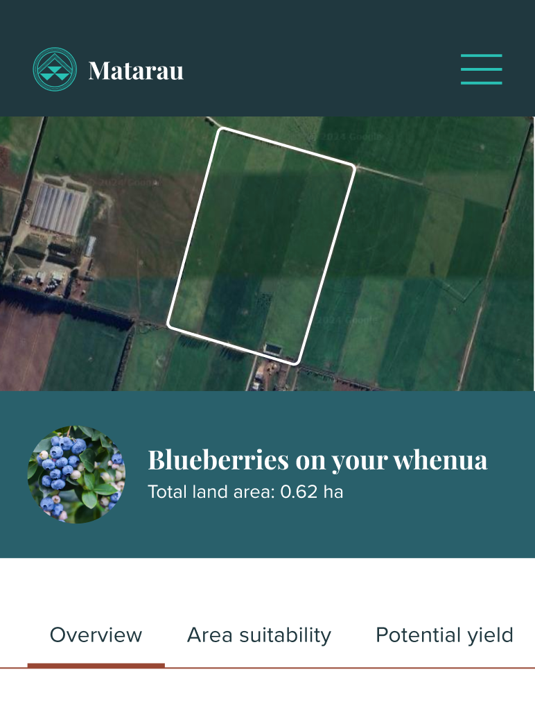Blueberries