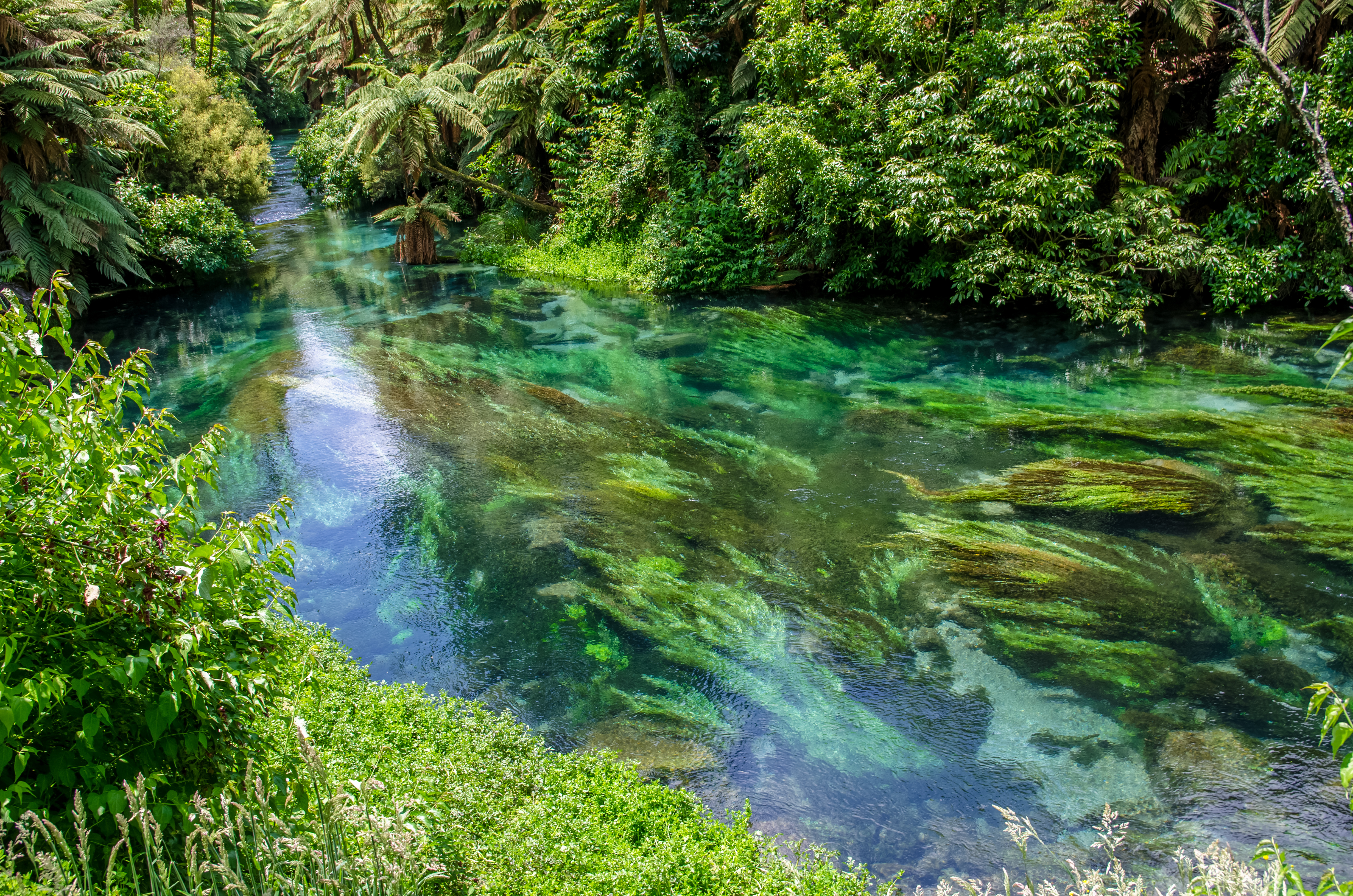 Predicted Groundwater Redox State In NZ