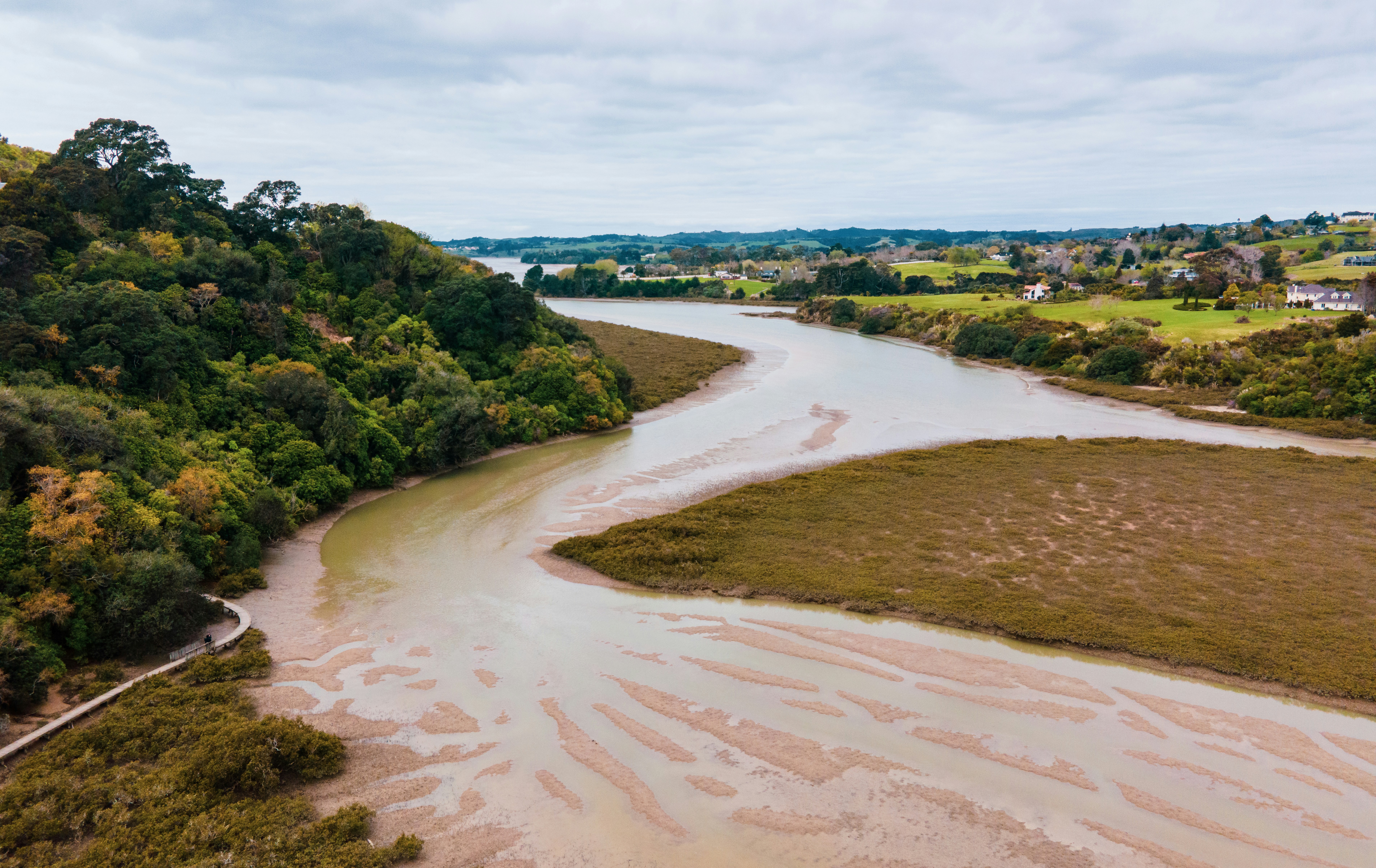 Auckland, Howick, brown river and marsh 