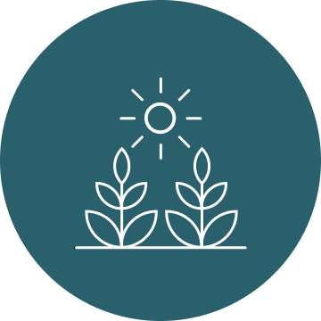 Crops Icon