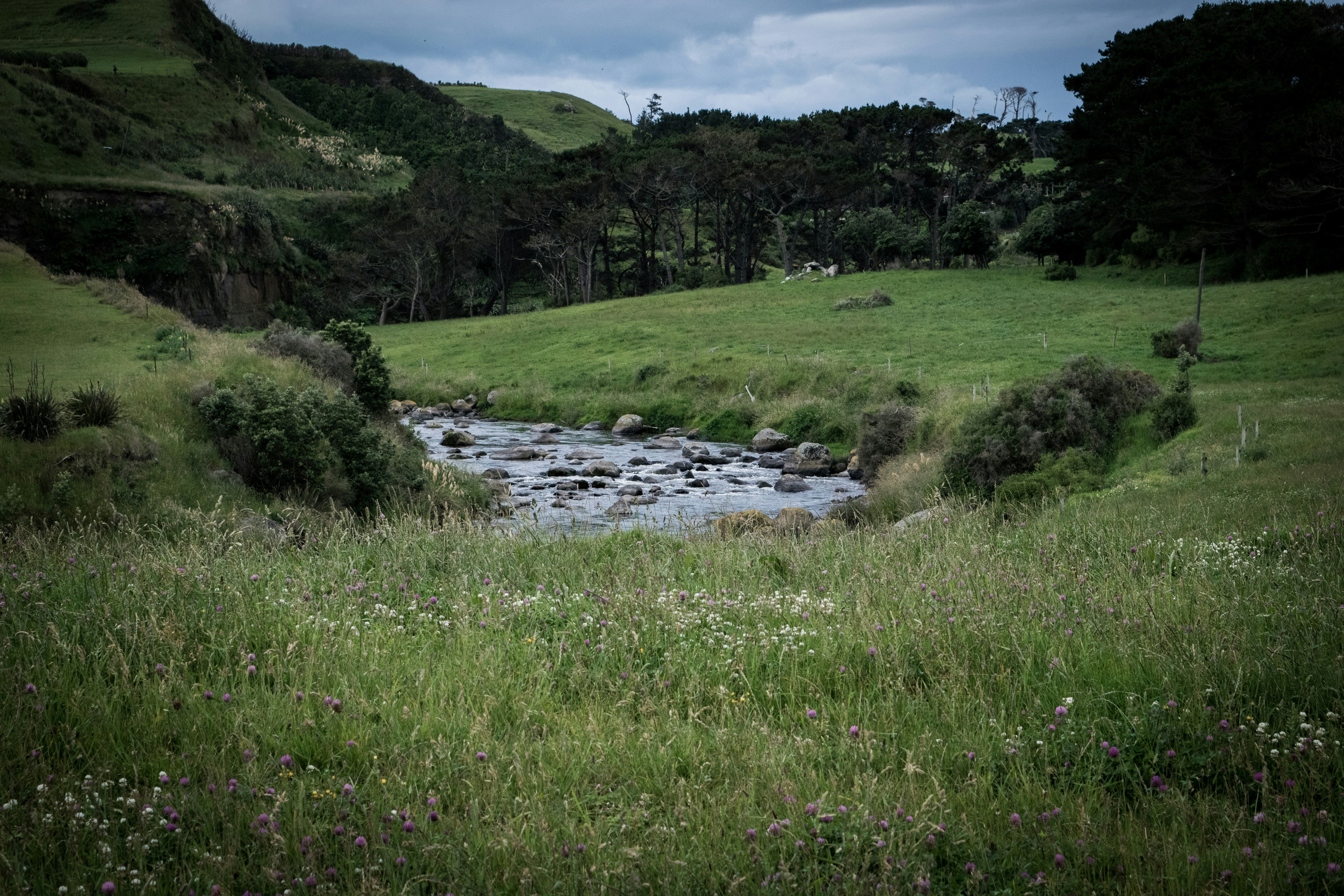 WWO Biophysical Susceptibility To N Leaching And Runoff